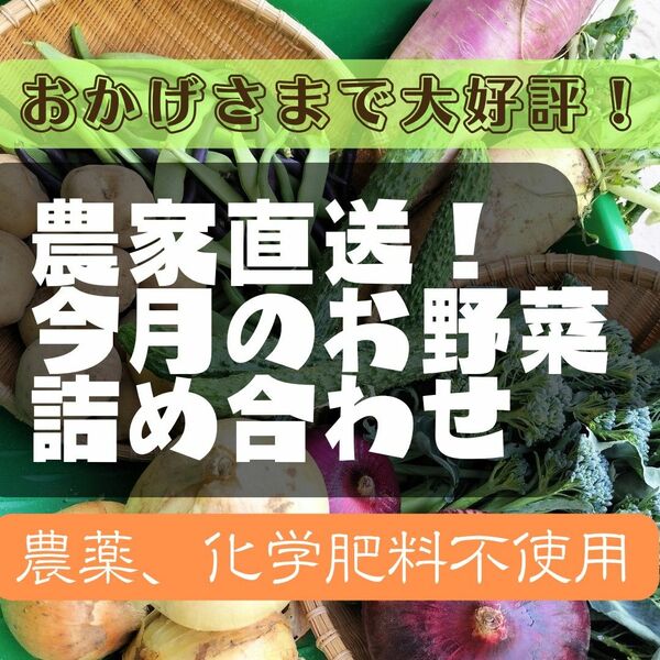 今月のお野菜詰め合わせ80サイズ