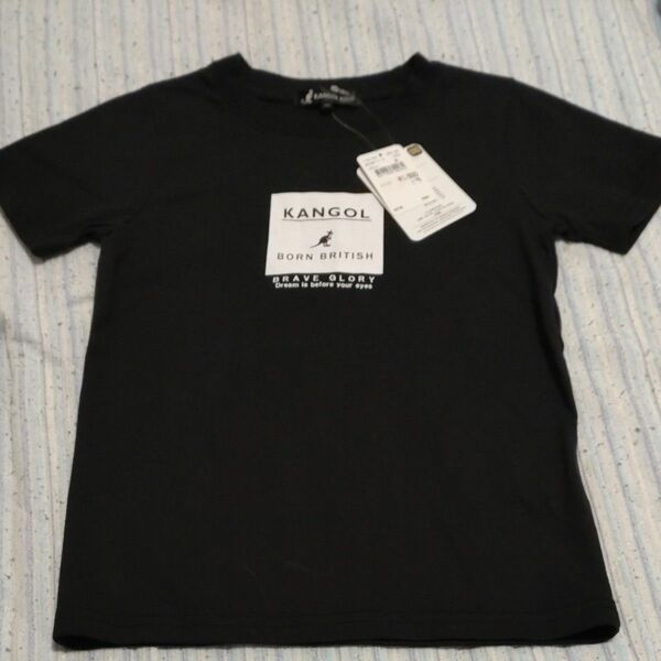 新品　 Tシャツ　KANGOL　120