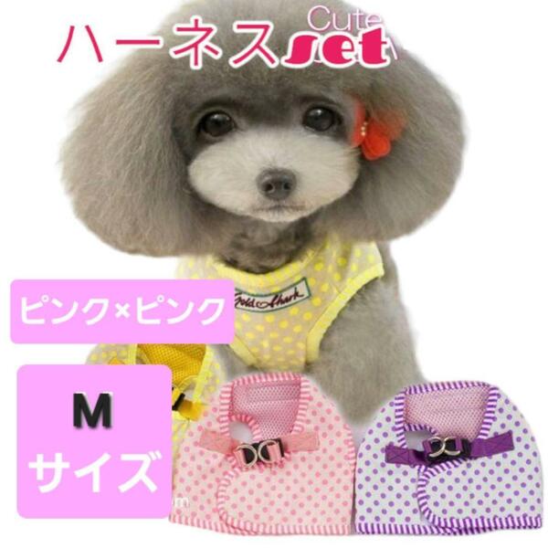 新品 愛犬用 ハーネス リード Cuteな水玉のハーネス＆リード ピンク M