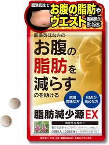 脂肪減少源 EX 60粒入り（30日分）肥満気味な方の 体重 お腹の脂肪 葛の花由来イソフラボン 機能性表示食品