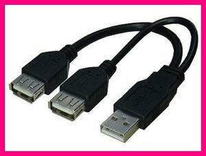 新品 変換名人 分岐 USBケーブル 電源用USB 増設 USBA/2