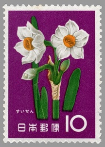 10円 花シリーズ すいせん 1枚 1961年(昭和36年) 未使用 日本郵便