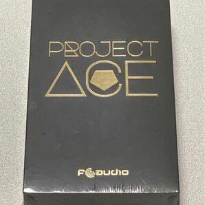 HIBYMUSIC　イヤホン カナル型 Project Ace