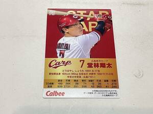 カルビー　プロ野球　チップス　２０２４年　堂林翔太　スターカード