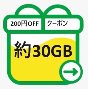 mineo マイネオ パケットギフト 約30GB 送料無料 200円OFFクーポンをお持ちの方におすすめ！