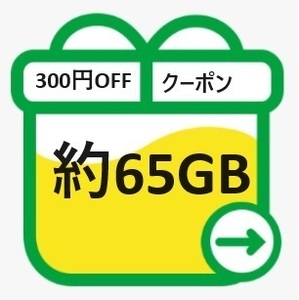 mineo マイネオ パケットギフト 約65GB 送料無料 PayPay決済300円OFFクーポンをお持ちの方におすすめです