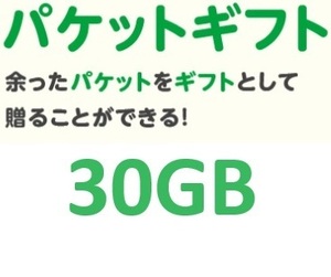 mineo マイネオ パケットギフト 約30GB 送料無料 200円OFFクーポンをお持ちの方におすすめ！ 容量希望対応