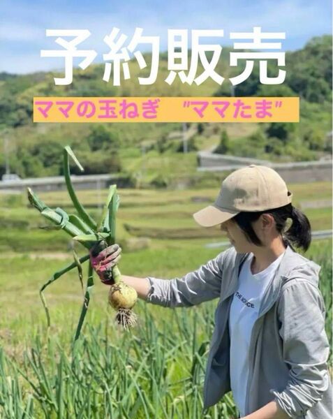 淡路島玉ねぎ　ママたま　予約販売開始