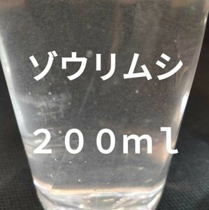 ゾウリムシ　約200ml 種水　メダカ　針子　生き餌　エビオス　めだか メダカ メダカの餌