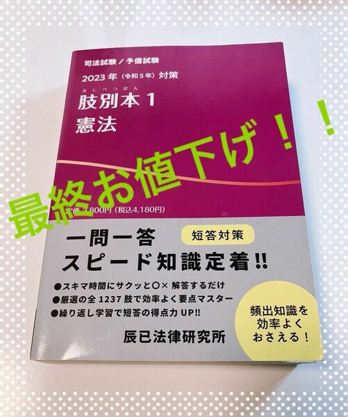 【最終お値下げ】肢別本1 司法試験 予備試験 【憲法】2023年対策 辰已法律研究所