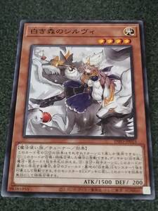 白き森のシルヴィ　 INFO 遊戯王