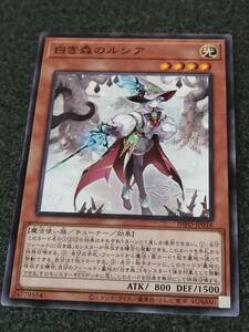 白き森のルシア　 INFO 遊戯王