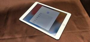 mo/000122/2404/Apple アップル iPad 第6世代 128GB ゴールド docomo 初期化済み