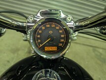 ハーレー　ダビッドソン　スポーツスター　XL1200C _画像10