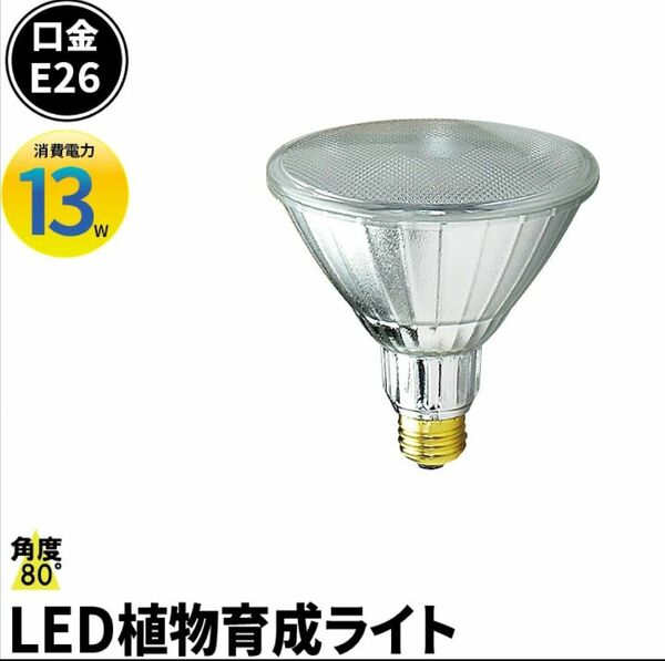 植物育成水耕栽培 LEDライトE26 防水 LG13W-PAR38 ビームテック　 LED電球 LEDスポットライト