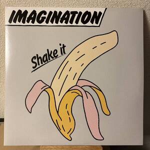 Imagination Shake It レコード LP vinyl アナログ AOR