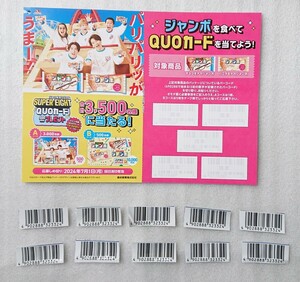 ★森永製菓 ジャンボスマイルキャンペーン 応募バーコード 10枚 応募はがき 1枚 モナカジャンボ 懸賞 