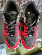 NIKE ナイキ　dunk low id nikeid エレファント柄　希少　貴重　26cm 中古　デュブレ by you　ダンクロー　ダンク　_画像2