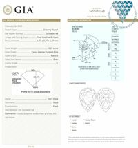 GIA DIAMOND EXCHANGE FEDERATION