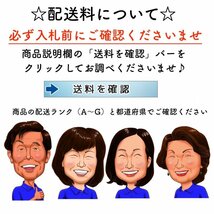 ①淀川製鋼所　低温貯蔵庫　YRCM-800A　100V　玄米　保冷庫　冷蔵庫　12袋　YODOKO　ヨドコー_画像7