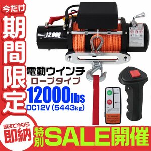 【数量限定セール】電動ウインチ リモコン付き 12V 12000LBS（5443kg）ロープタイプ オフロード車 ジムニー SUV車 電動ウィンチ DC12V