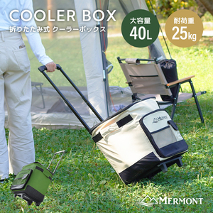 cooler-box термос сумка маленький размер большая вместимость 40L модный рыбалка soft складной Carry кейс литейщик сумка-холодильник кемпинг часть .