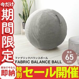 [ limited amount sale ] exercise ball 65cm... with cover air pump pump attaching yo Gabor body . training exercise .tore