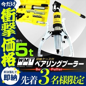 【先着3名様限定】ポンプ式 油圧式 ベアリングプーラー 収納ケース付き 5トン 5t 新品 未使用