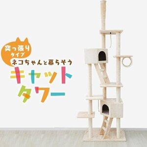  cat tower .. trim type large slim nail ..260cm cat tower flax playing place cat goods .. trim type cat tower -stroke less cancellation motion cat 