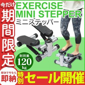 【数量限定セール】メーター付き ステッパー 健康器具 ダイエット器具 ステッパー 運動 フィットネス トレーニング ミニステッパー