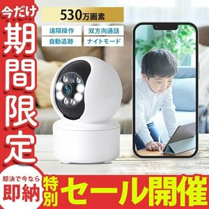 【数量限定セール】防犯カメラ ペットカメラ 夜間OK 屋内 見守りカメラ スマホ対応 wifi ワイヤレス 自動追跡 遠隔操作 録画可能 防犯対策