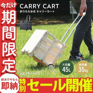 [ limited amount sale ] carry cart folding stair Wagon push car shopping Cart capacity 45L high capacity withstand load 35kg with casters cover attaching 