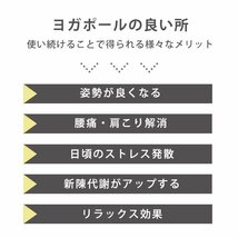 【数量限定セール】ヨガポール フラットタイプ ロング 100cm フォームローラー 筋膜リリース 体幹 ヨガ ストレッチ ダイエット 筋トレ_画像3