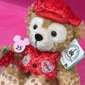 バレンタイン 9インチ ダッフィー #25 ぬいぐるみ 2013 WDW DLRWDW DLR Valentine Duffy the Disney Bear アメリカ ディズニーの画像4