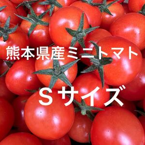 熊本県産 ミニトマト Sサイズ 900g 新品種 TYみわく
