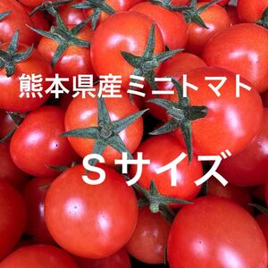 熊本県産 ミニトマト Sサイズ 900g 新品種 TYみわく