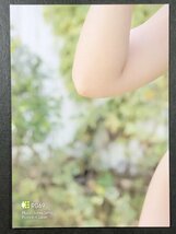 平嶋 夏海　Vol.5　RG69　水着 AKB48 グラビア アイドル トレカ トレーディングカード バイク女子_画像2