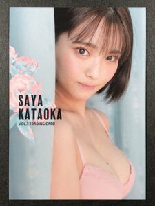 片岡 沙耶　Vol.3　RG09　水着 グラビア アイドル トレカ トレーディングカード