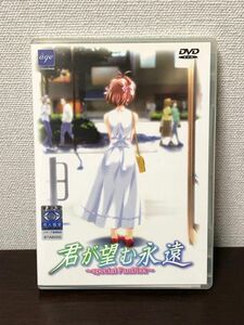 君が望む永遠 special FanDisk PCゲーム パソコンゲーム