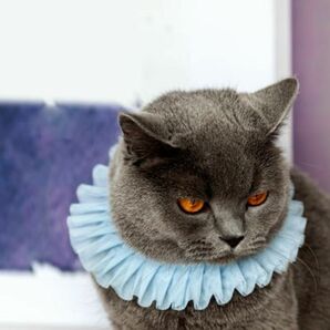 猫　犬　うさぎ　首輪　アクセサリー　cat accessory