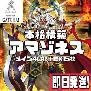 即日発送!アマゾネス デッキ 遊戯王 霊術師 前市長