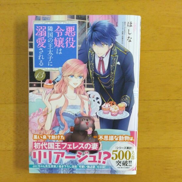 悪役令嬢は隣国の王太子に溺愛される　１３ 