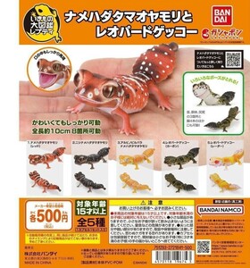 ナメハダタマオヤモリとレオパードゲッコー いきもの大図鑑レプティ 匿名配送