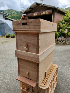  Japan molasses bee West Mitsuba chi flow high b under step single frame 5 sheets on step flow frame 4 sheets nest box only 