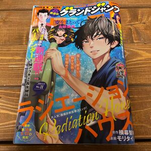 グランドジャンプ１１号です。プレゼント応募はがきは切り取り済みです。その他に破れなどはありません。