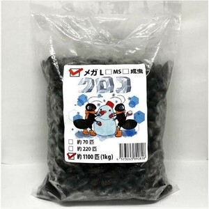 【送料無料・邑楽ファーム】【クール便発送】冷凍クロコオロギ　メガLサイズ　１ｋｇ(約1100匹入り)