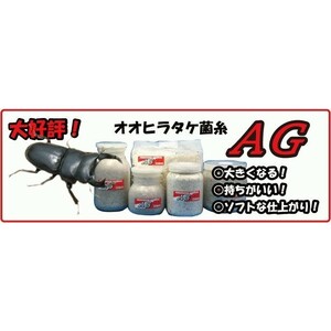 【送料無料・KBファーム】【オオヒラタケ菌床・クワガタムシ幼虫飼育用菌床・菌糸】AGブロック（ブナ粗め）3500cc×５個