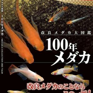 2021年度版「100年メダカ～改良メダカ大図鑑～vol.18」