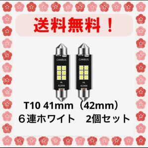  T10×41mm（42mm）LED ホワイト2個セット（６連）