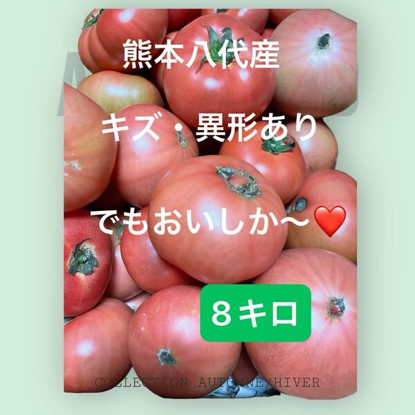 熊本八代産の塩混じりトマト　8キロ